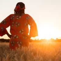 Cow Pro  Dairy Farm Solutions